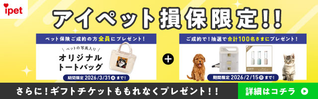 �A�C�y�b�g���ی���I�I �y�b�g�ی�������̕��S���Ƀv���[���g�I �y�b�g�̎ʐ^����I���W�i���g�[�g�o�b�O ���Ԍ��� 2026/3/31�i�΁j�܂ŁI+������ŁI���I�ō��v100�����܂Ƀv���[���g�I ���Ԍ��� 2026/2/15�i���j�܂ŁI ����ɁI�M�t�g�`�P�b�g������Ȃ��v���[���g�I�I �ڍׂ̓R�`��