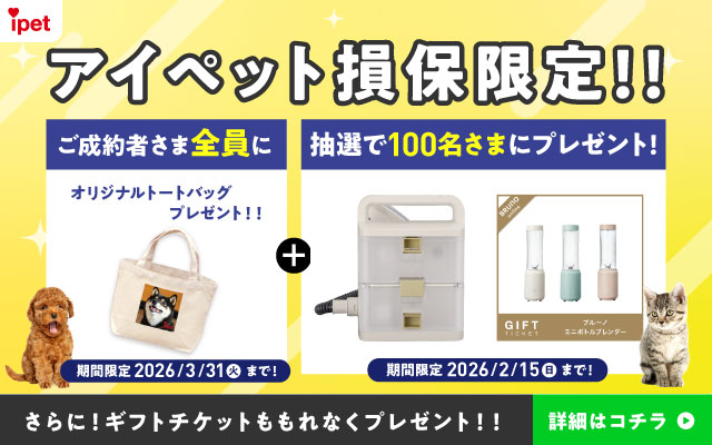 �A�C�y�b�g���ی���I�I������҂��ܑS���ɃI���W�i���g�[�g�o�b�O�v���[���g�I�I ���Ԍ��� 2026/3/31�i�΁j�܂ŁI+���I��100�����܂Ƀv���[���g�I ���Ԍ��� 2026/2/15�i���j�܂ŁI ����ɁI�M�t�g�`�P�b�g������Ȃ��v���[���g�I�I �ڍׂ̓R�`��