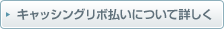 �L���b�V���O���{�����ɂ��ďڂ���