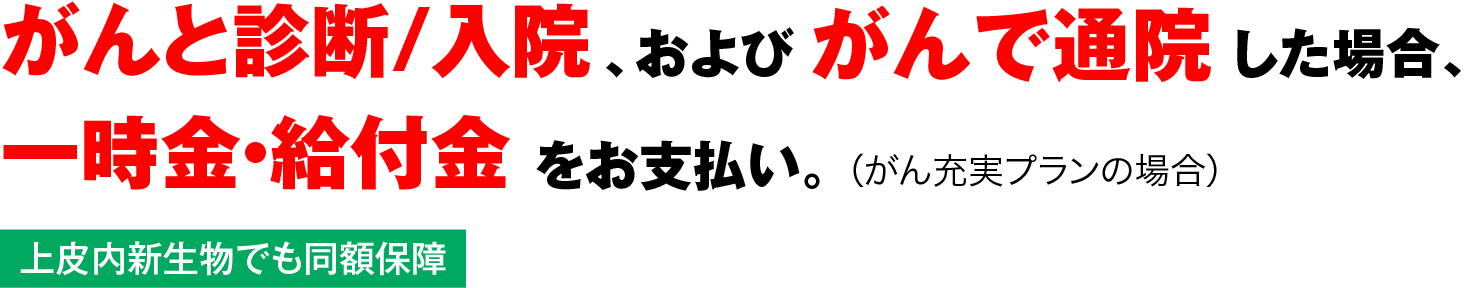 がんと診断/入院、およびがんで通院した場合、一時金・給付金をお支払い。(がん充実プランの場合)
