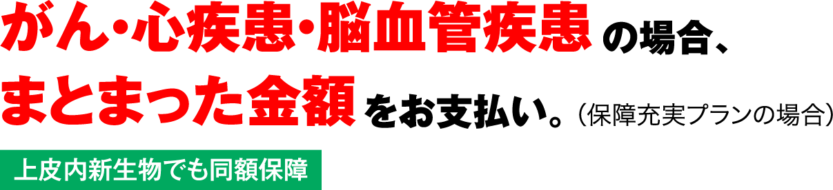 がん・心疾患・脳血管疾患の場合、まとまった金額をお支払い。(保障充実プランの場合)