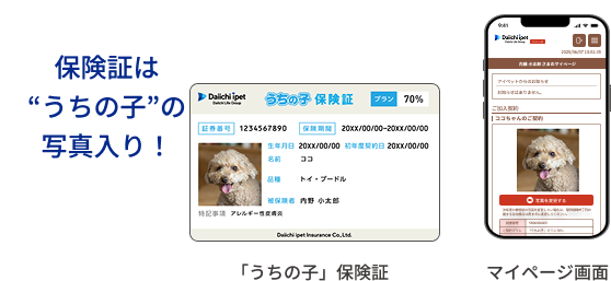 �ی��؂͂����̎q�̎ʐ^����